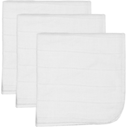 copy of 